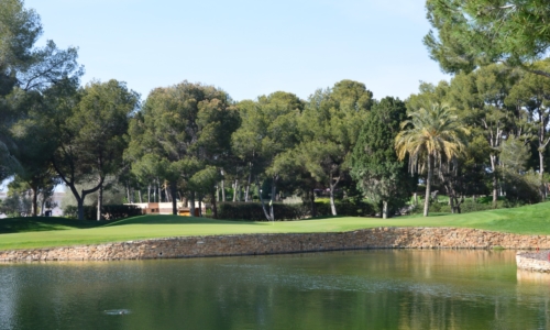 Paseo por el club  (Reducida)