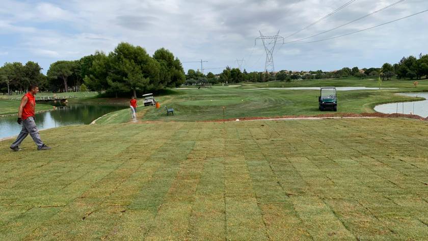 Reforma-Tees-8-lagos-7