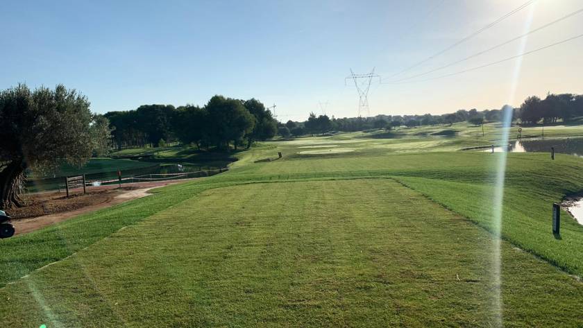 Reforma-Tees-8-lagos-9